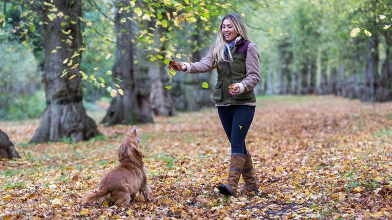 A dog playing in autumn leaves with it's owner